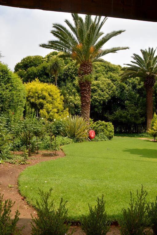 Highveld Splendour Boutique Bed And Breakfast 埃尔默洛 客房 照片