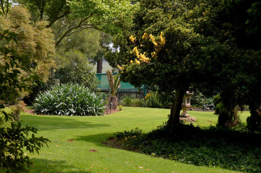 Highveld Splendour Boutique Bed And Breakfast 埃尔默洛 客房 照片